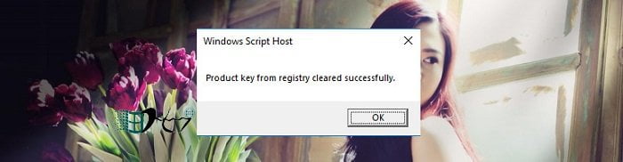 go bo key windows 3
