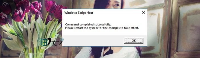 go bo key windows 5
