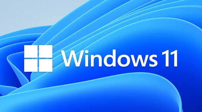 Tải Win 11 Pro Insider Preview build 22000.100 (No Soft) by LeHaIT