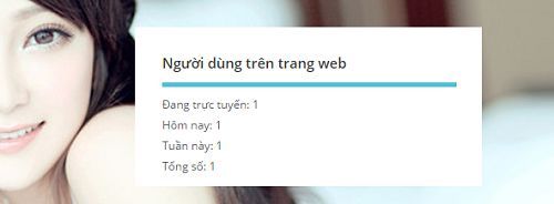 dem-so-nguoi-online-5 1